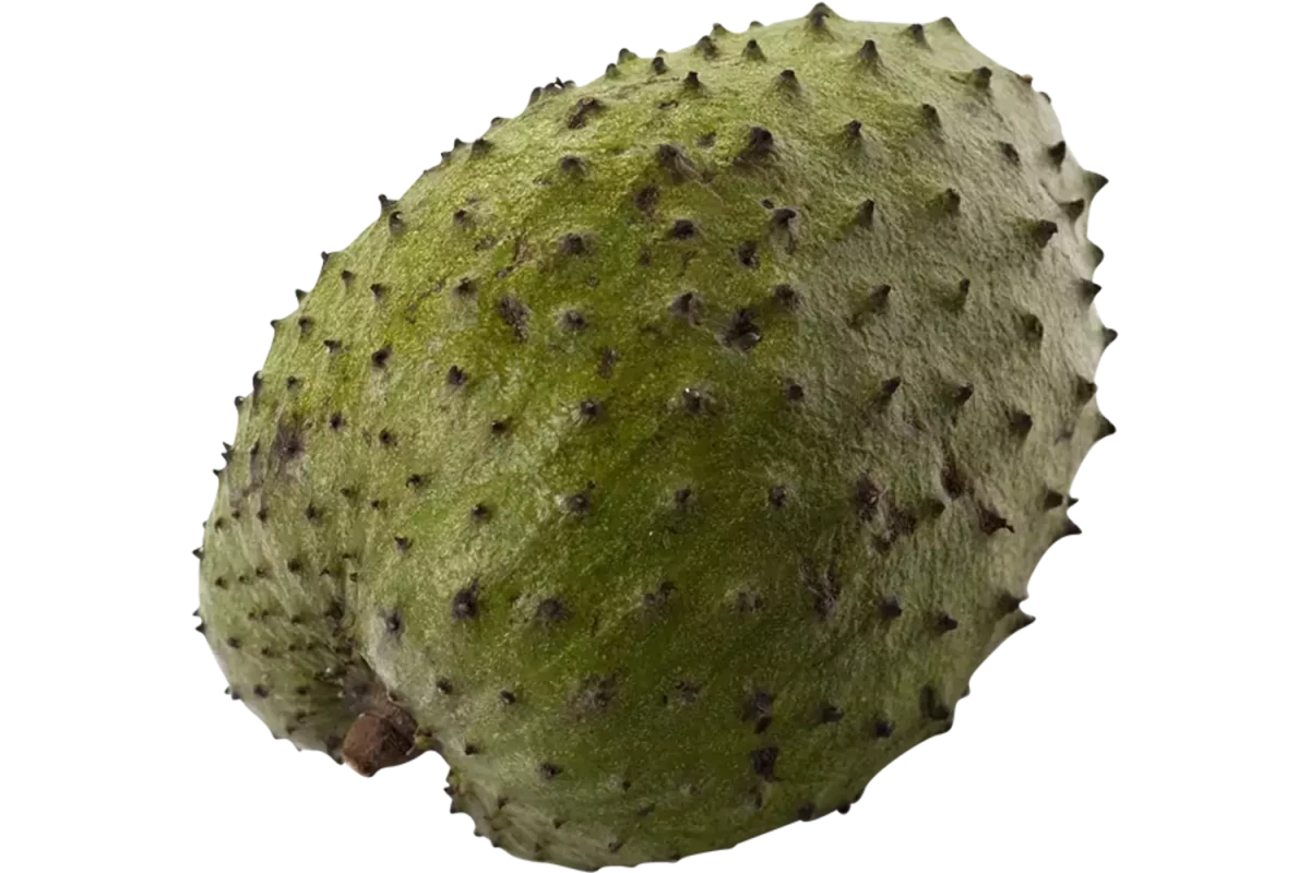 Zuurzak (guanabana) 5KG - Golden Nuts