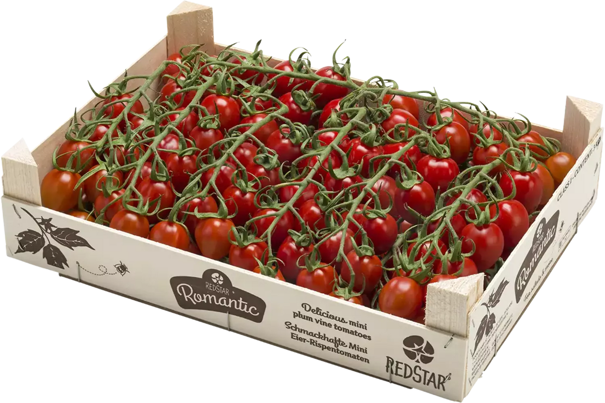 Romantic mini pruimtrostomaten kist 3 kilogram