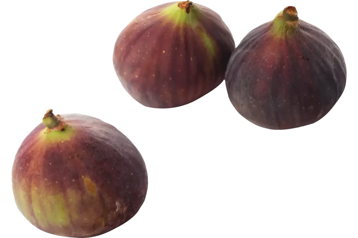 Vijgen Verpakt 3 stuks - Golden Nuts
