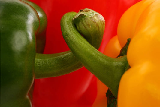 Paprika Stoplicht Verpakt - Golden Nuts