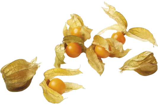 Physalis (100 gram) - Golden Nuts