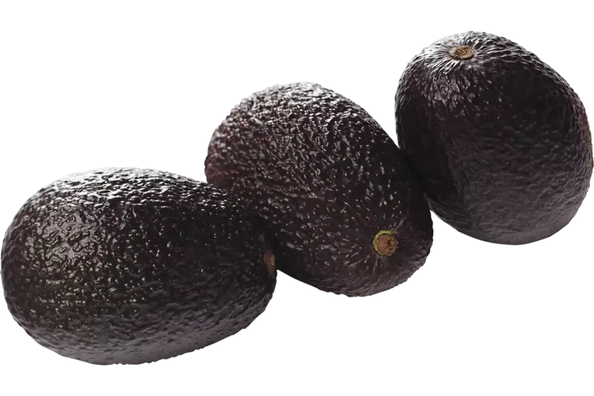 Advacado Bijtrijp - Golden Nuts