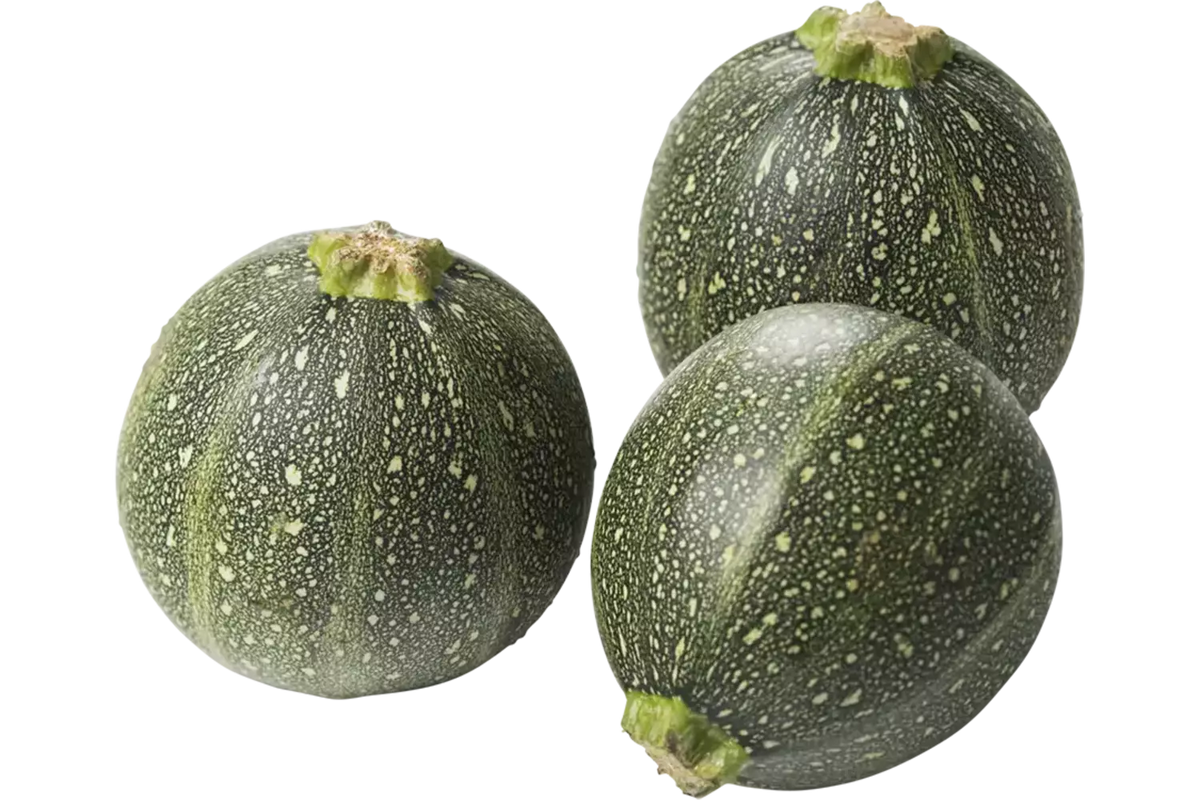 Bio Bol Courgette per stuk