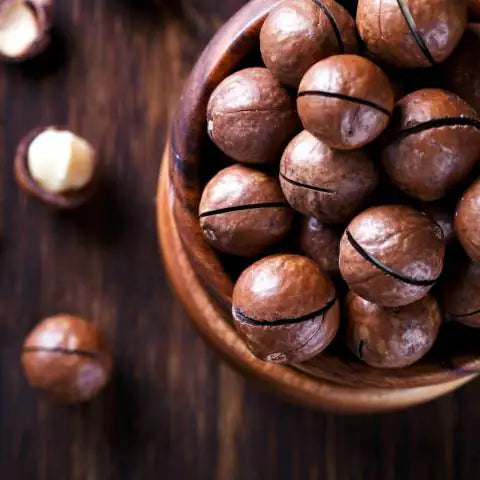 Macadamia in dop geroosterd en gezout 09zepx-ue.myshopify.com Macadamia in dop geroosterd en gezout