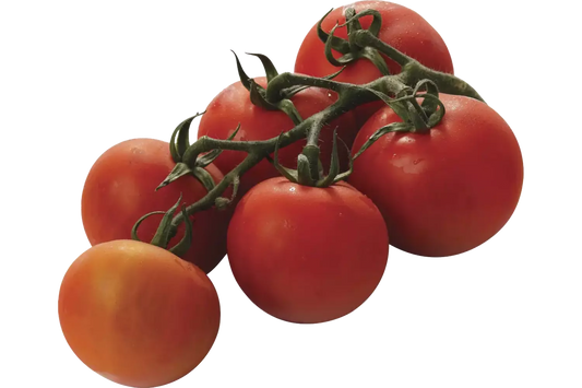 Bio Trosttomaten