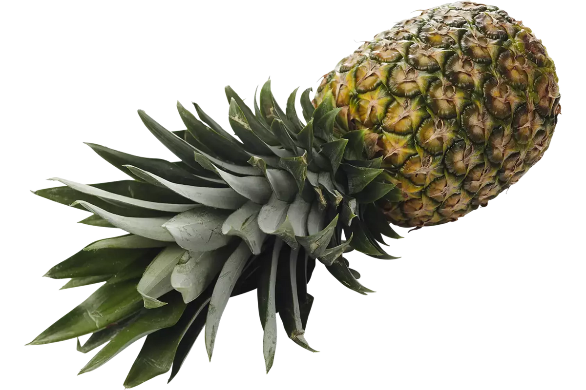 Bio Ananas