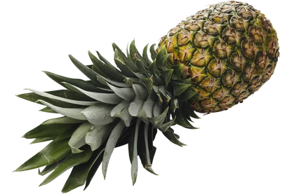 Bio Ananas