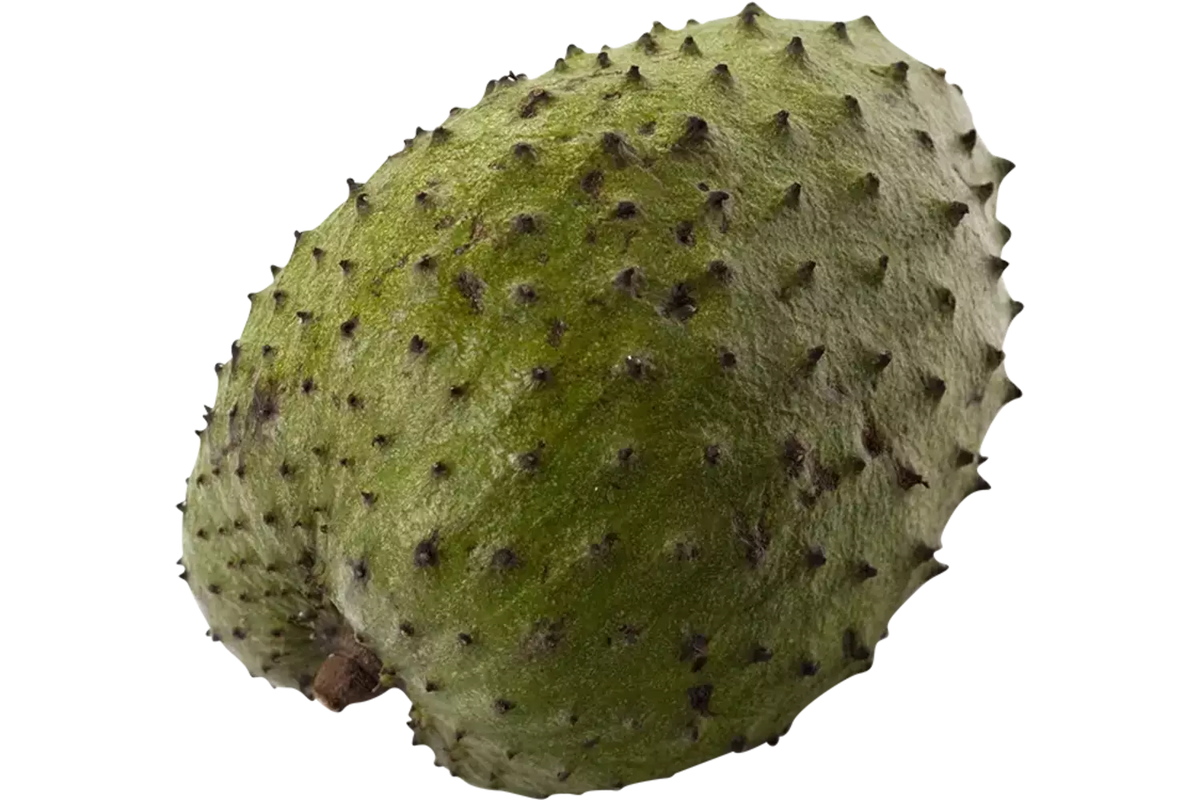 Zuurzak (guanabana) 5KG