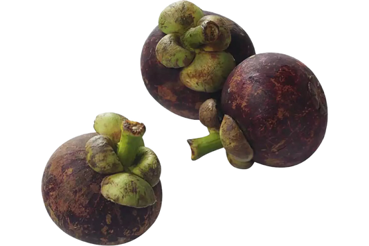 Mangosteen