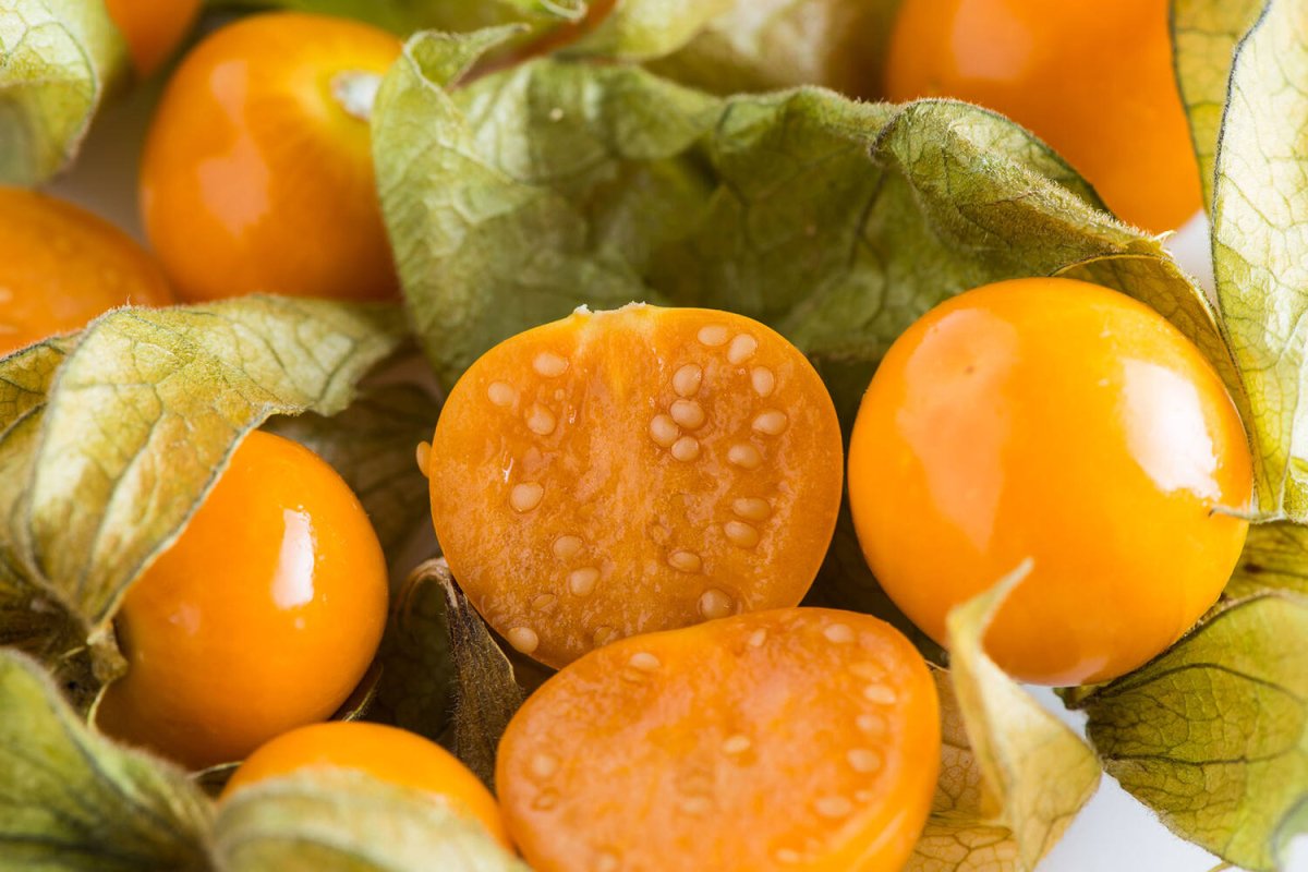 Physalis (100 gram) - Golden Nuts