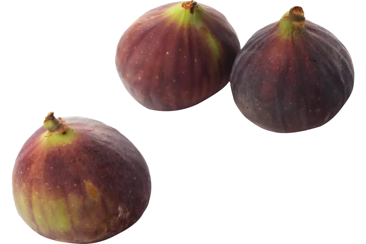 Vijgen Verpakt 3 stuks