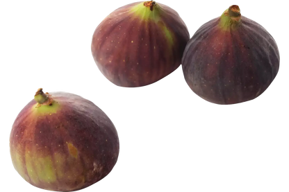 Vijgen Verpakt 3 stuks
