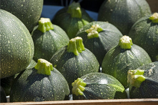 Bio Bol Courgette per stuk - Golden Nuts