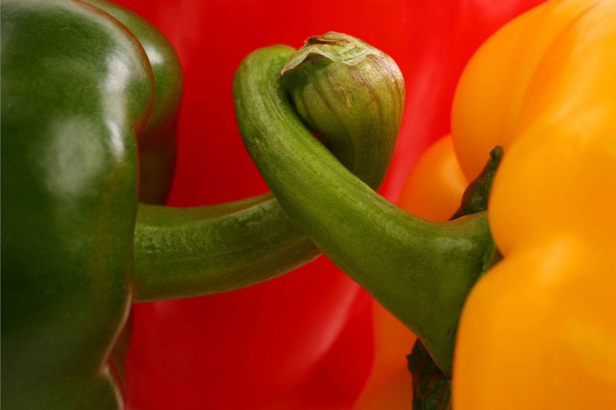 Paprika Stoplicht Verpakt - Golden Nuts