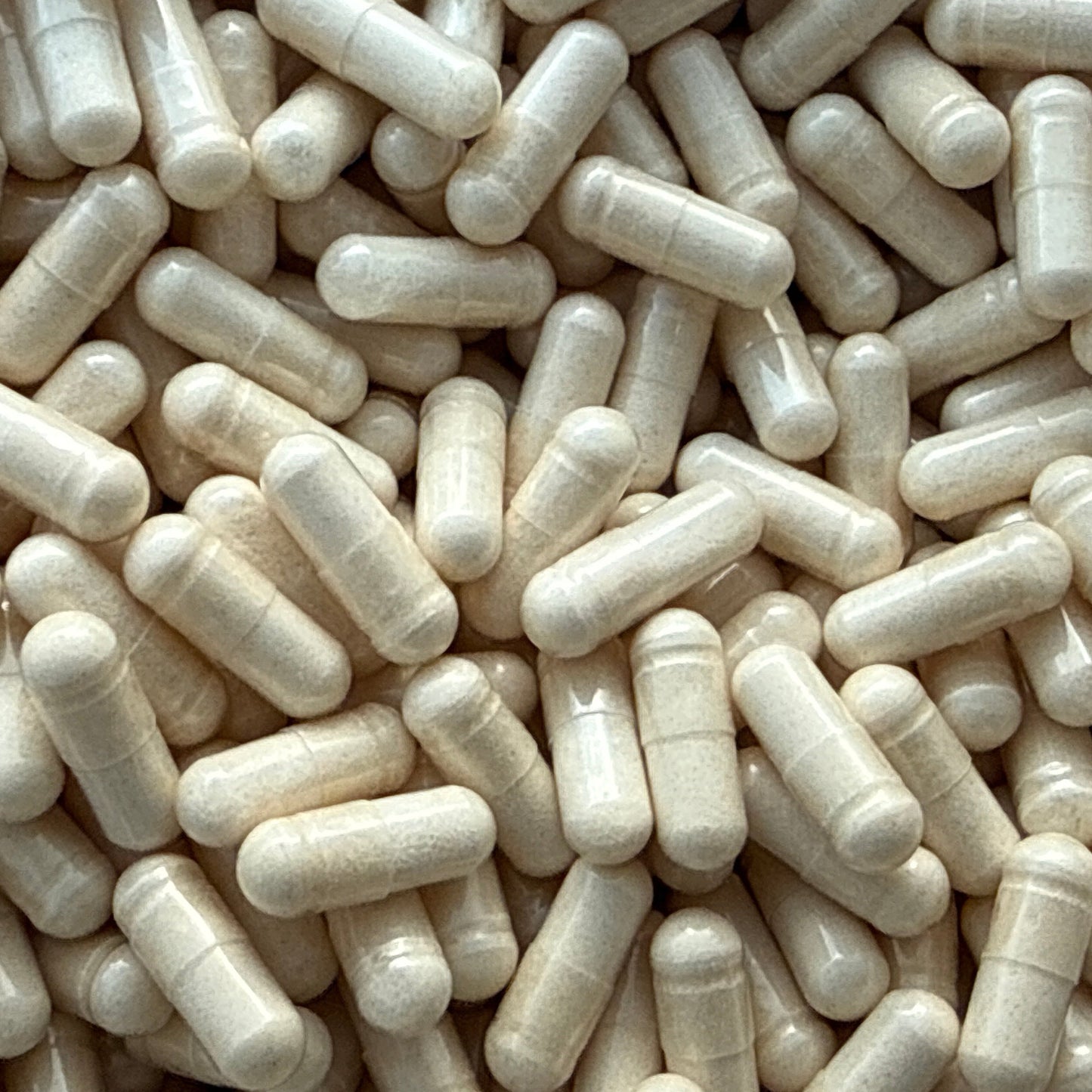 Beta-Ecdysterone 98% – Capsules – BulkLab Nutrition