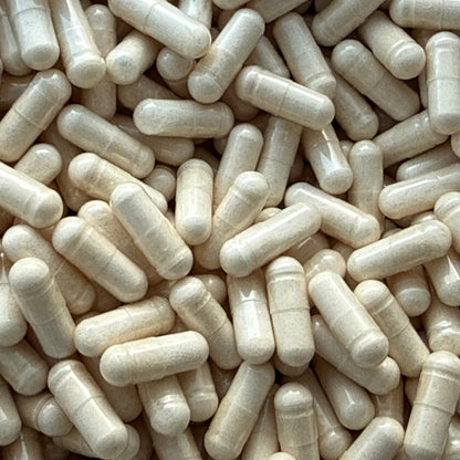 Beta-Ecdysterone 98% – Capsules – BulkLab Nutrition