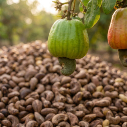 Cashew Geroosterd en Gezout met Schil
