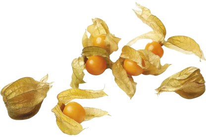 Physalis (100 gram) - Golden Nuts
