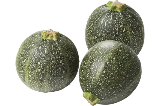 Bio Bol Courgette per stuk - Golden Nuts