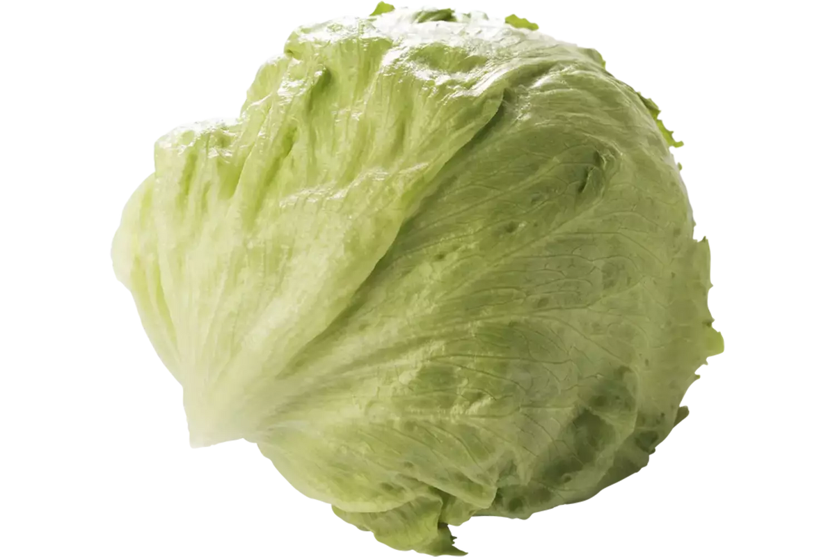 IJSBERGSLA